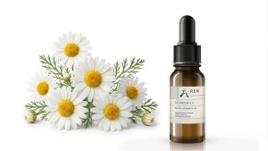 שמן קמומיל גרמני