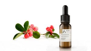 שמן ווינטר גרין – Wintergreen