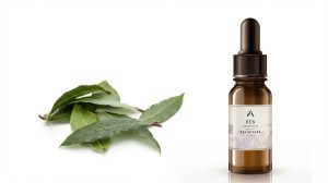 שמן רבינטסרה