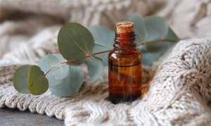 Read more about the article סוגי שמן אקליפטוס – המדריך המלא