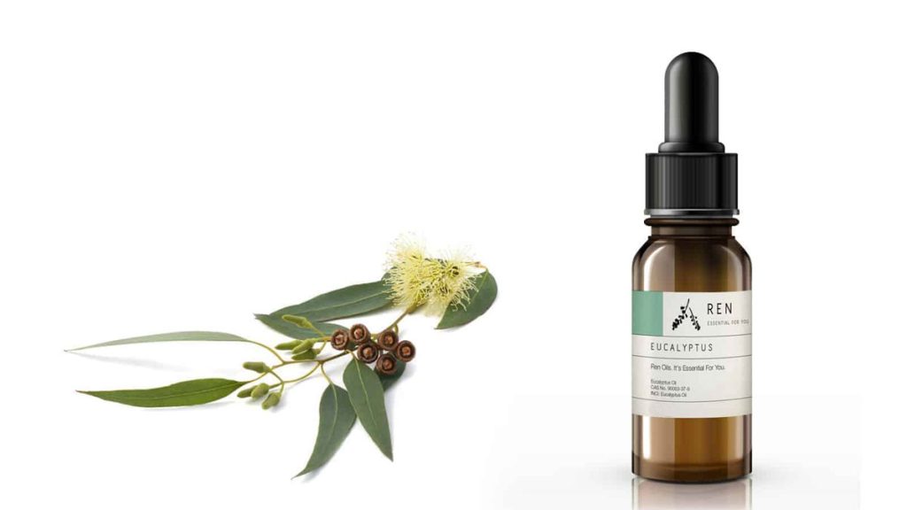 שמן אקליפטוס רדיאטה